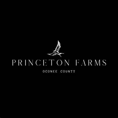 Athens Construction Group
