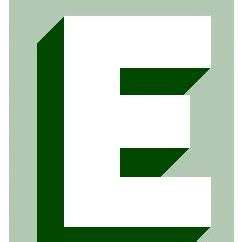 Erickson Associates Inc