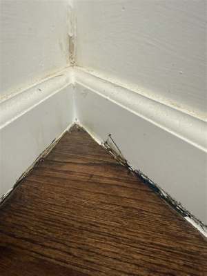 Micron Construction Services, LLC