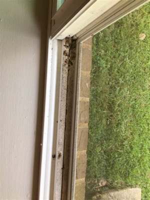 North Atlanta Contractors, Inc.