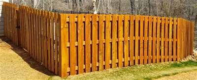 Staining Pros